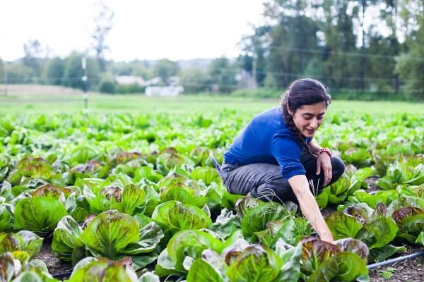 From Screens to Fields: Gen Z Embraces Farming as a Viable Career