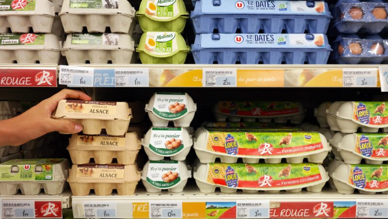 Egg Prices Soar Amid Avian Flu and Holiday Demand – Asean Voice