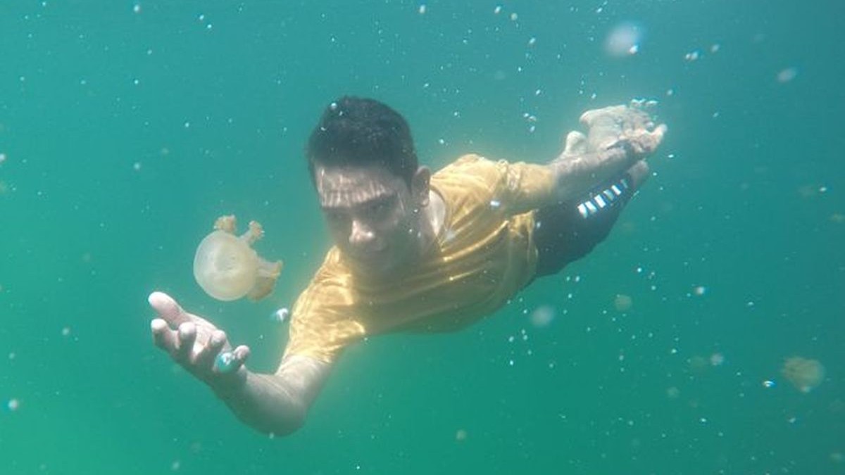 World’s Largest Jellyfish Lake Found in Indonesia: ASEAN Tourism Potential